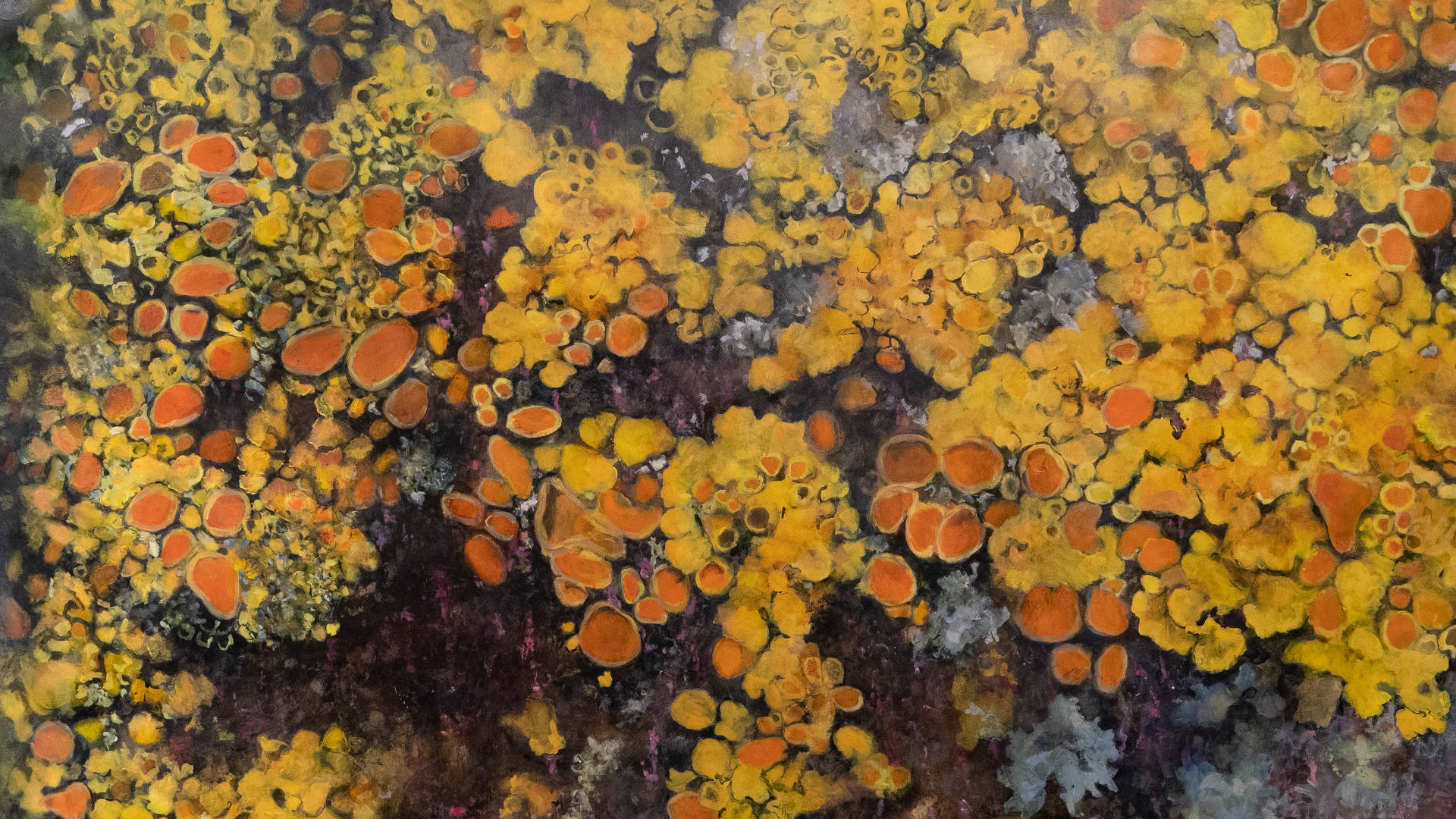 Painting titled 'Lichen, Mulberry Way, 2' by Helen Thomas. Painted in acrylic paint on paper. Size 1m x 1.5m